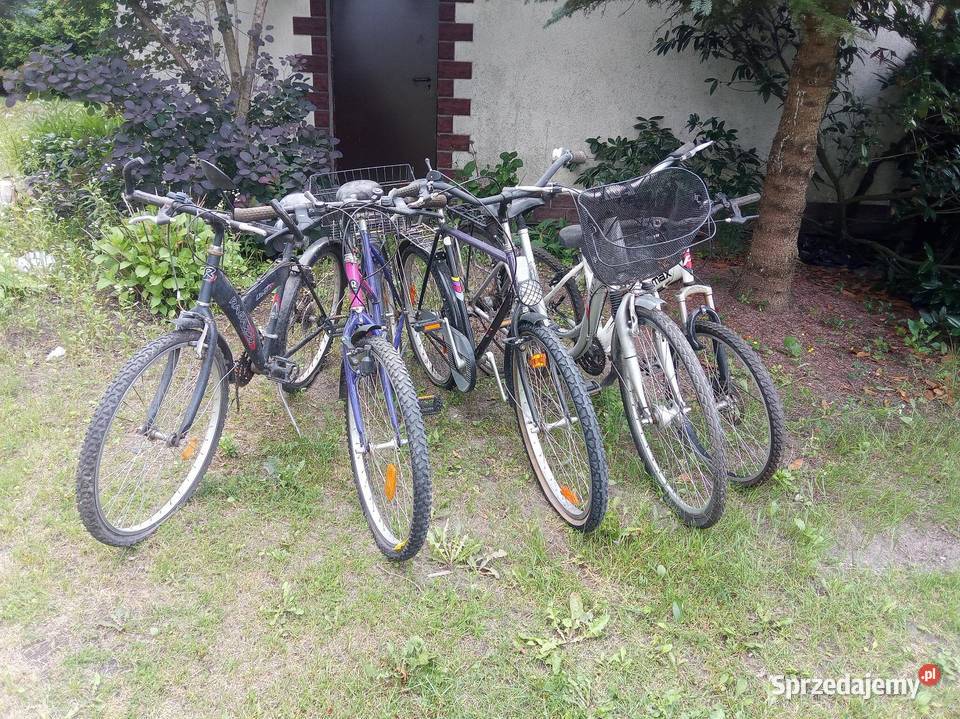 5 rowerów Puławy