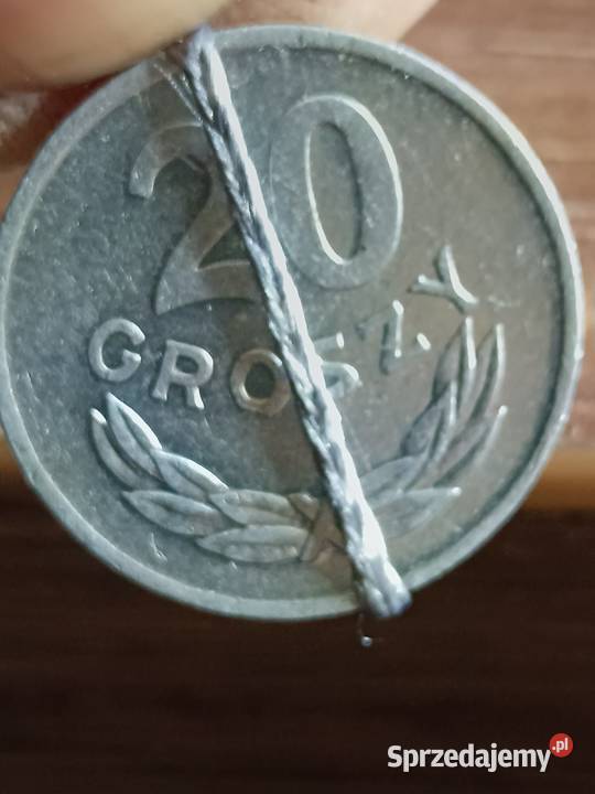 Sprzedam 20 gr 1983 r Chełm