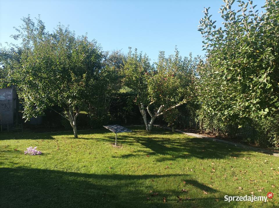 Działka rekreacyjna 1go Maja w Gliwicach Knurów