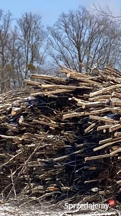 Biomasa energetyczna 4000 pln z 1 mp3 Pozostałe dolnośląskie Wołów sprzedam