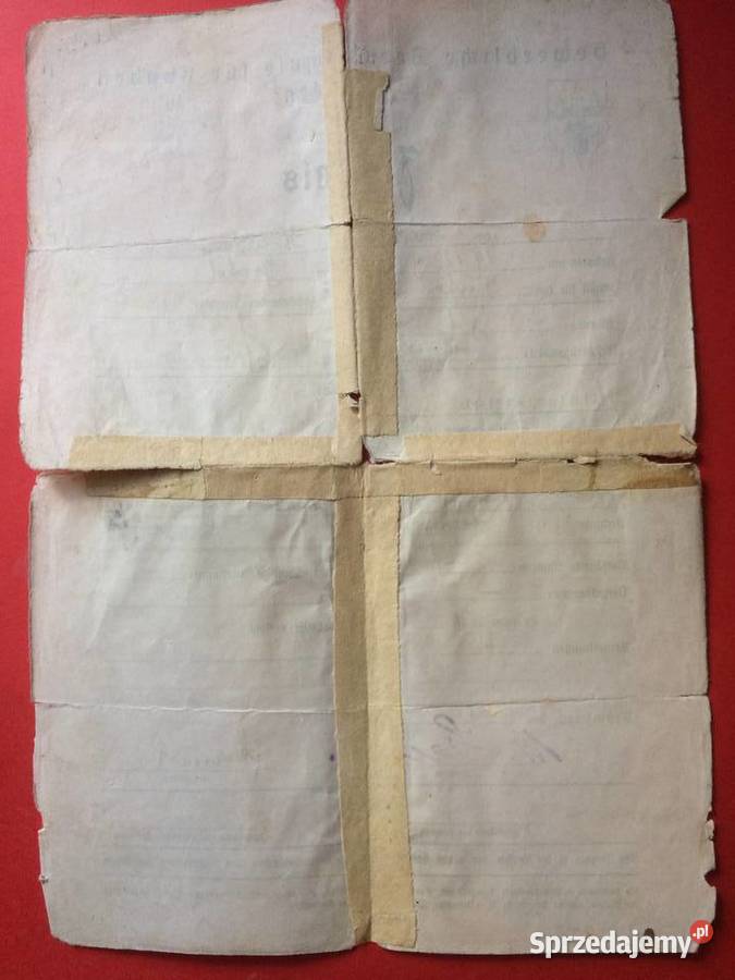 487 Niemieckie Świadectwo Bromberg Szczecin