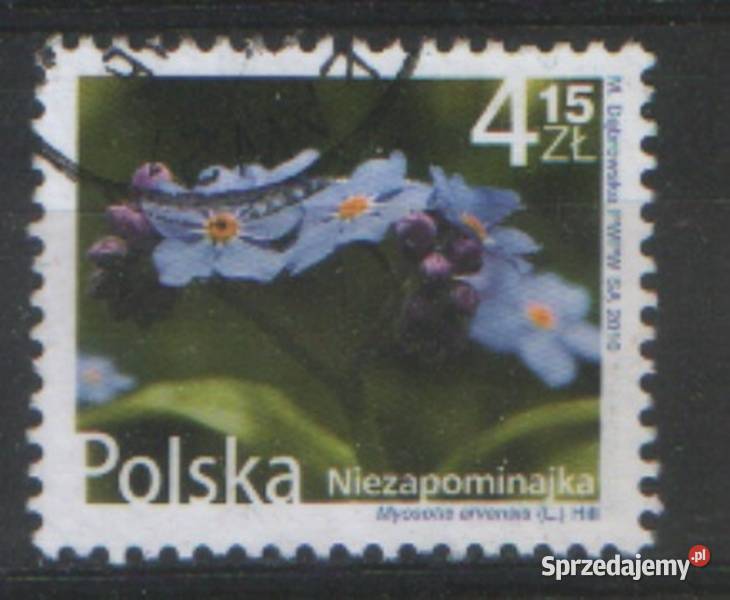 Zn Fi 4324 39 52 4 kas 2010 Gliwice