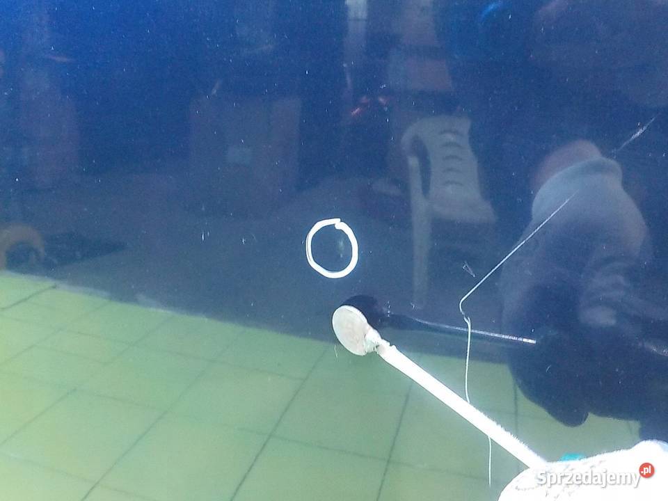 SUBARU LEGACY IV 25 B AUT 05r KOMBI maska osobowe