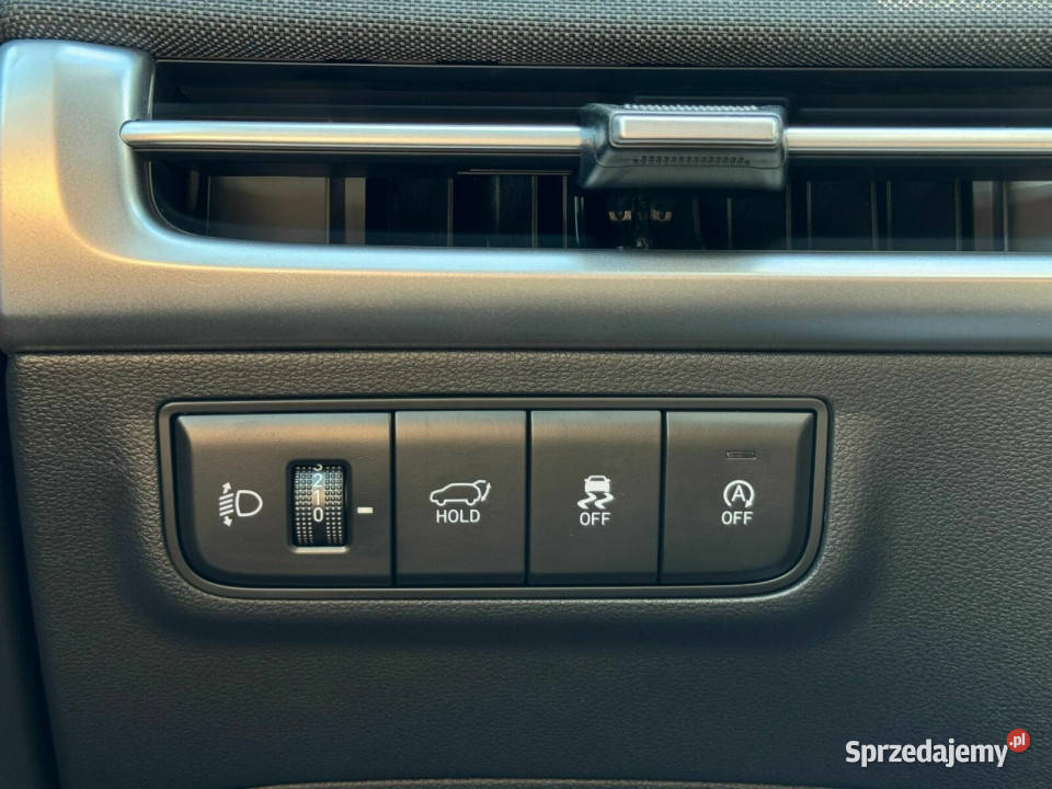 Salon Polska Autoryzowany dealer Faktura VAT 23 Rok produkcji 2024 Kalisz