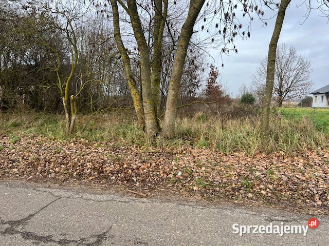 Syndyk sprzeda działkę 934 Wyszomierz Gmina 1515m2