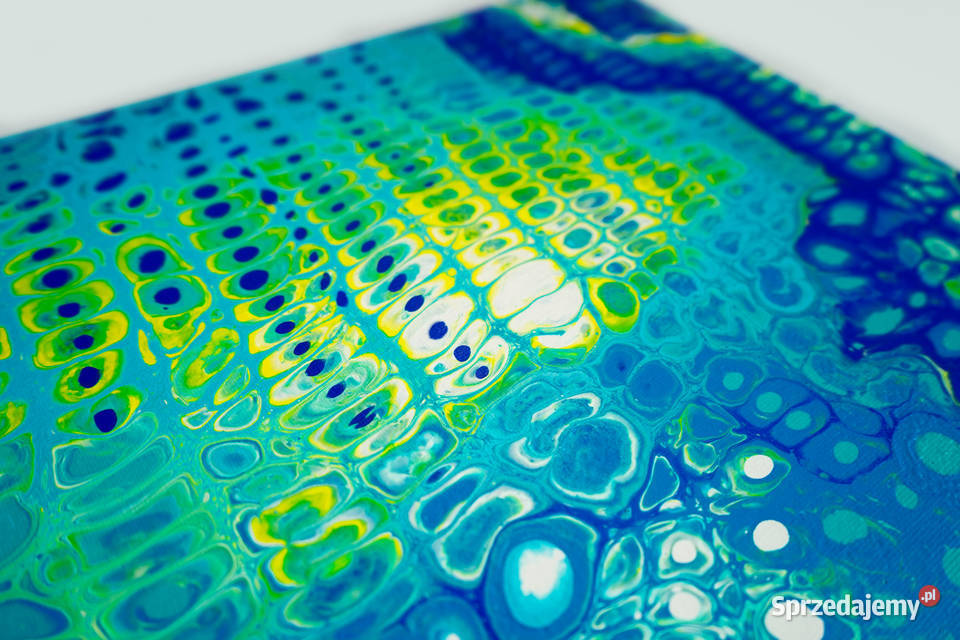 Kolorowy abstrakcyjny obraz Kameleon 50x60 mazowieckie Warszawa