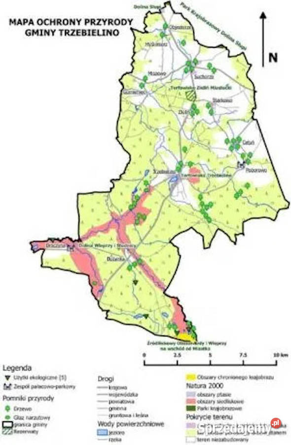 Projekty GIS analizy bazy danych mapy szkolenia Poznań