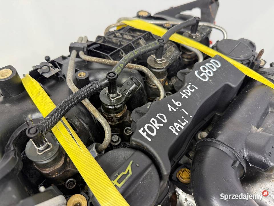 SILNIK KOMPLETNY G8DD Ford Focus II MK2 C C 16 Chełm