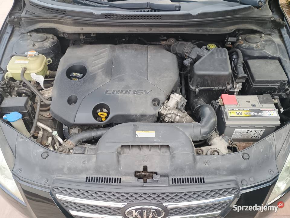 Kia ceed 16 crdi oryginał mazowieckie Ostrów Mazowiecka