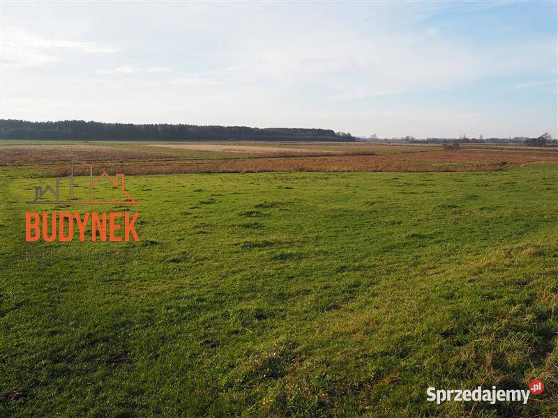 Działka rolna Krupy