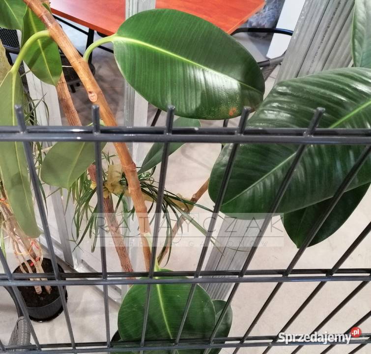 Panel 2D 656mm 163m Systemowe Przemysłowe kujawsko-pomorskie Grudziądz