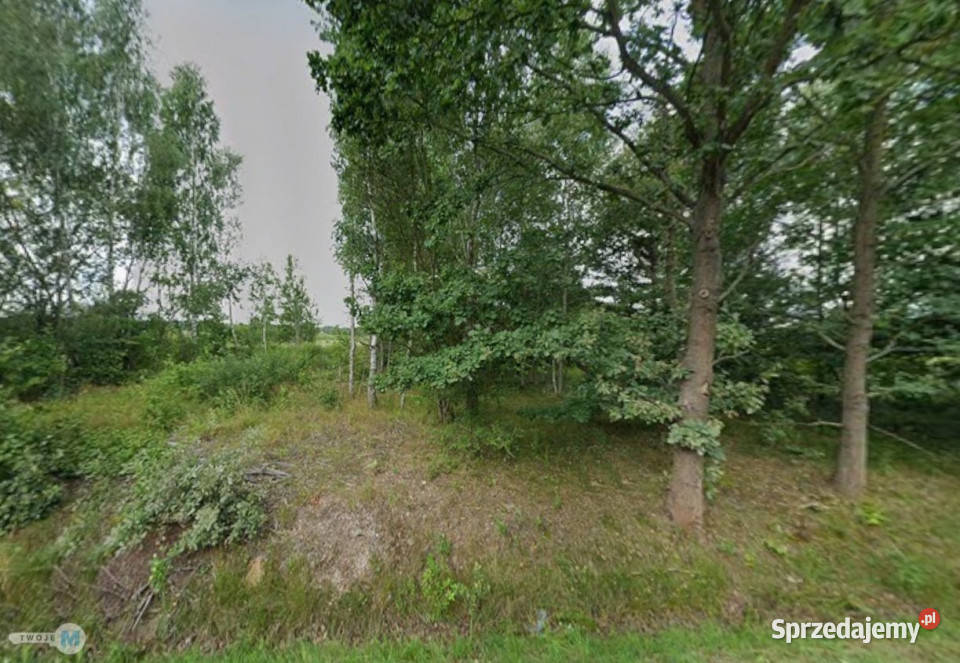 Grunt 1200m2 Mniów kanalizacja