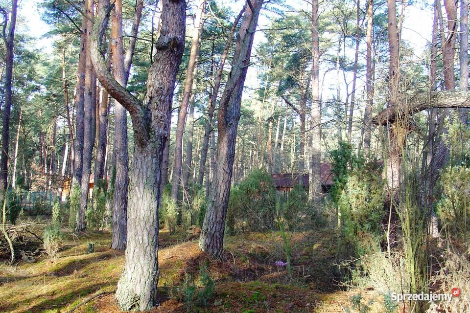 działkę budowlaną w Popowie kSerocka