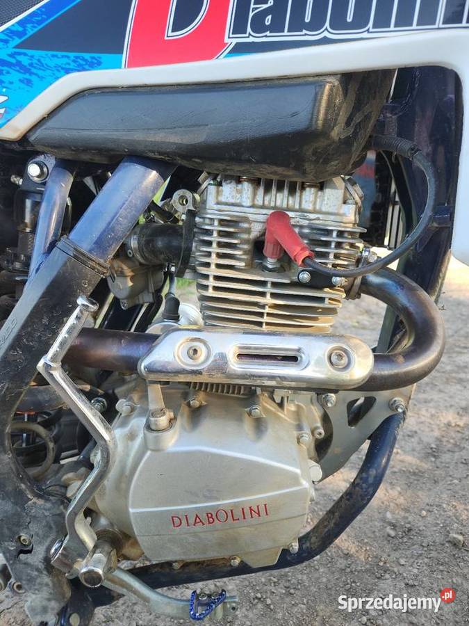 Diabolini 250 Strzelin