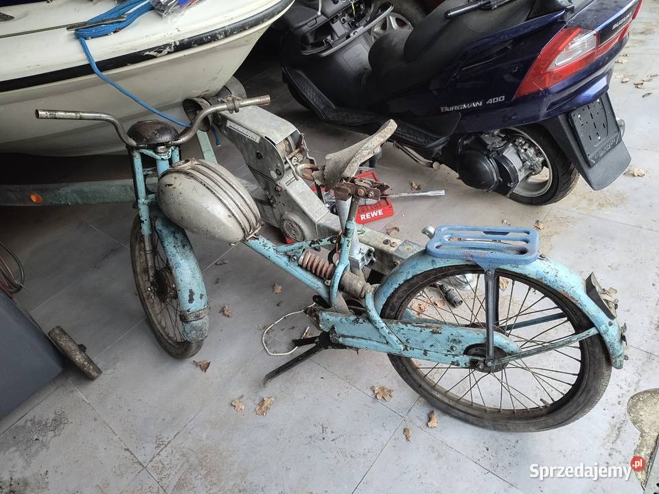 Żak dolnośląskie Jelcz-Laskowice