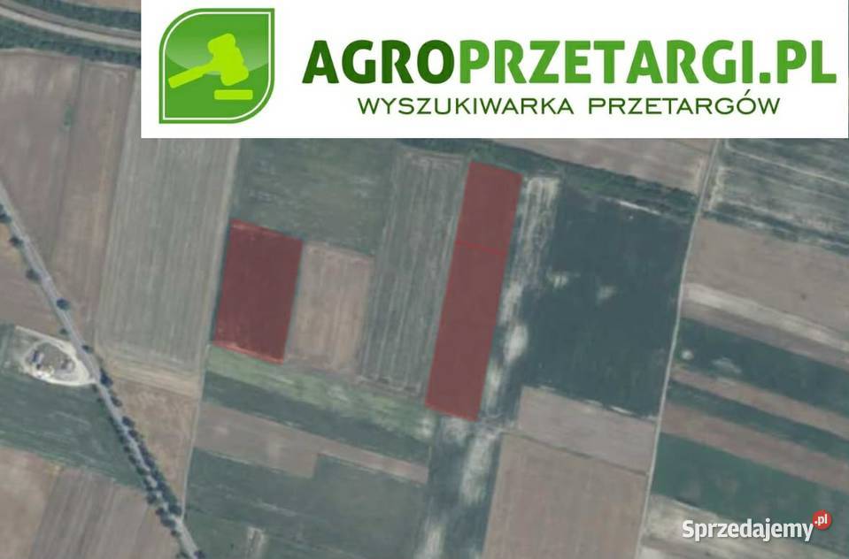 Dzierżawa 1094 ha gruntu rolnego rolna Nieruchomości Chełm sprzedam