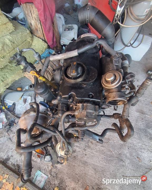 Vw Sharan 2009r 19 tdi Bvk Anglik kolor LD1X osobowe Czarna Woda