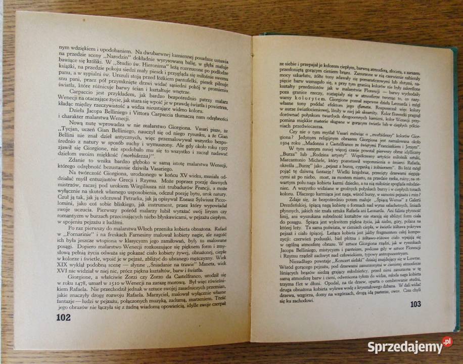Świetnie zachowana luksusowa edycja Malarstwa Antykwariat Bychawka Trzecia