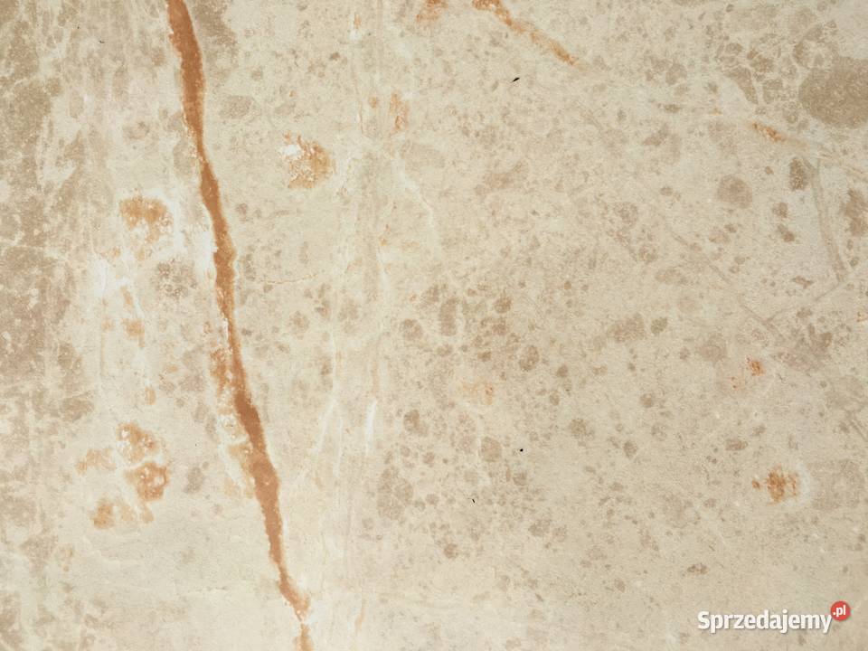 Terakota elda marfil 45x45 firmy ECOCERAMIC Reguły