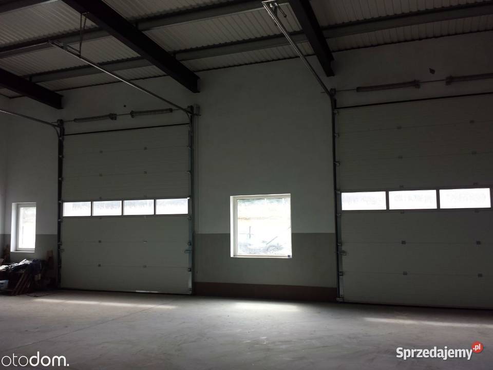 Hala 241 m w Redzie Pieleszewo Reda sprzedam