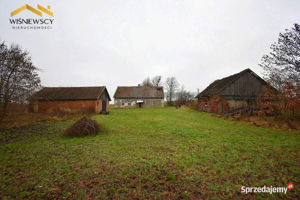 Siedlisko 9400m2 dom dwa budynki gospodarcze Liczba pokoi 7 Głotowo sprzedam