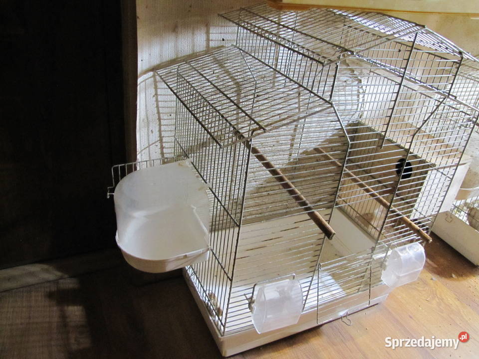 Klatka ptaków Toruń