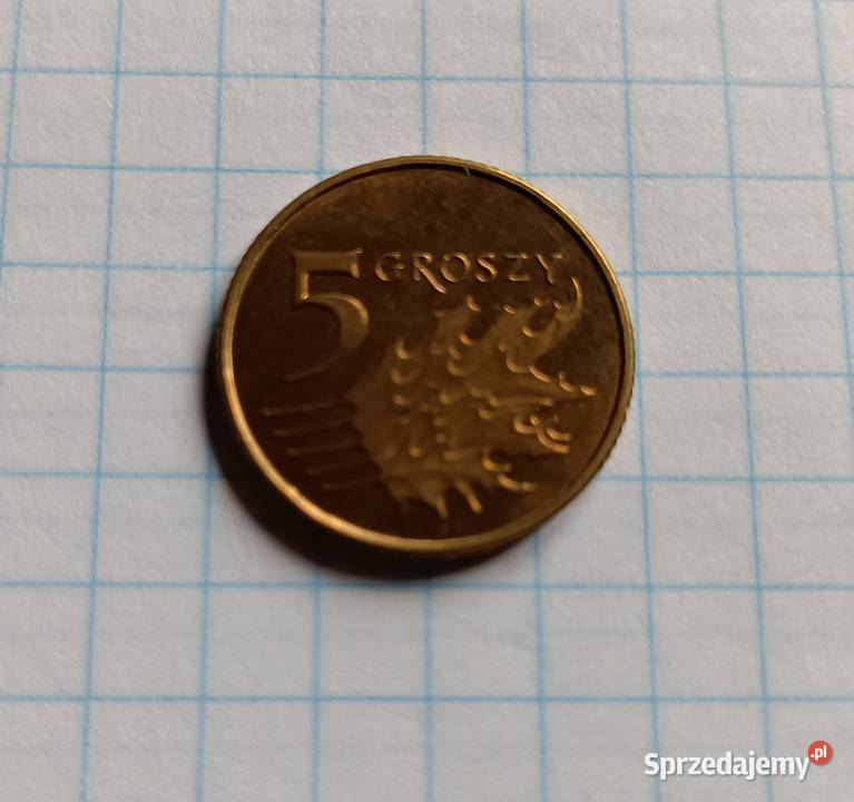 5 GROSZY 2011 POLSKA sprzedam