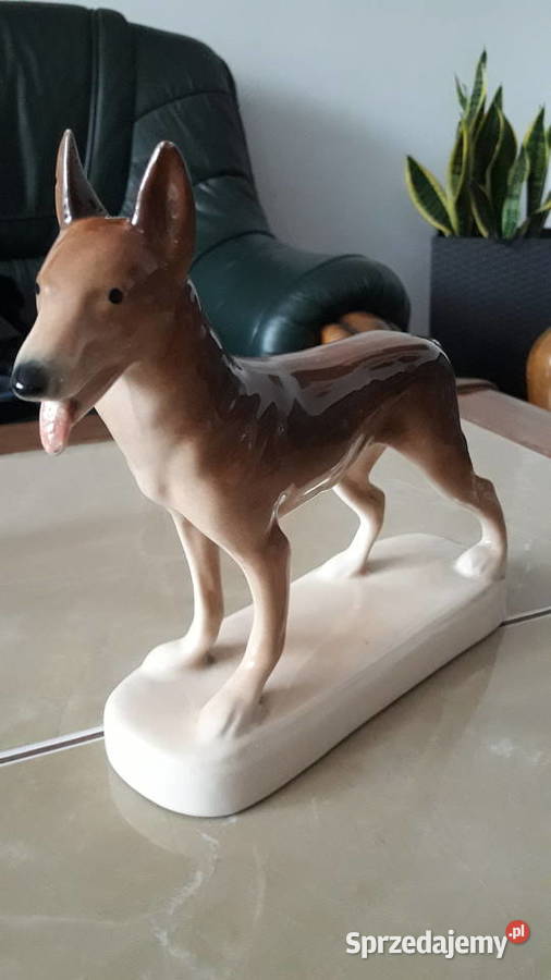 Pies Wilczór Chodzież lata 60 te PRL Janów Lubelski