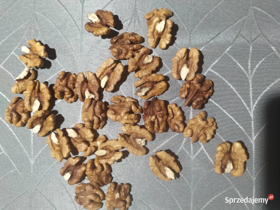 Orzechy włoskie łuskane połówki 1 Dębno