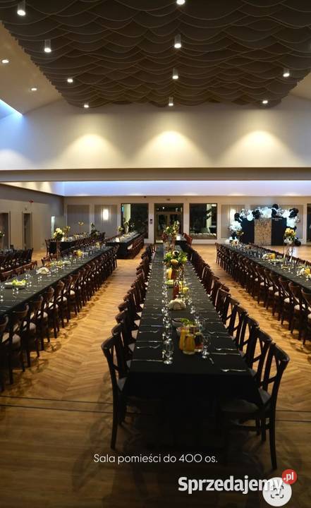Krzesło ALEX do domu jadalni restauracji lokalu sprzedam