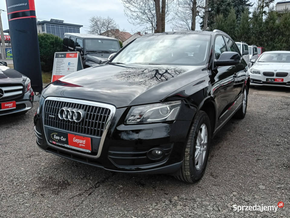 Audi Q5 8R 20082016 światła przeciwmgielne Q5 Janów Lubelski