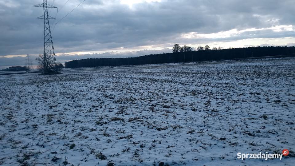 Dzialka rolna 642 ha Tarnowiec w strefie 280m