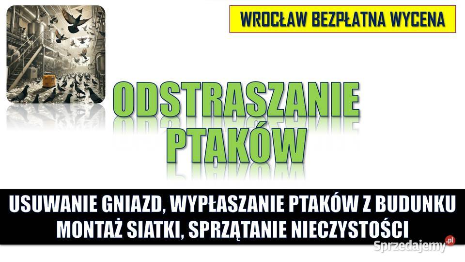 Wypłoszenie ptaków z budynku garażu podziemnego Wrocław