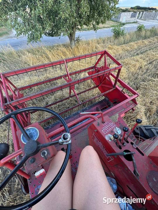 Massey Ferguson 186 Małogoszcz