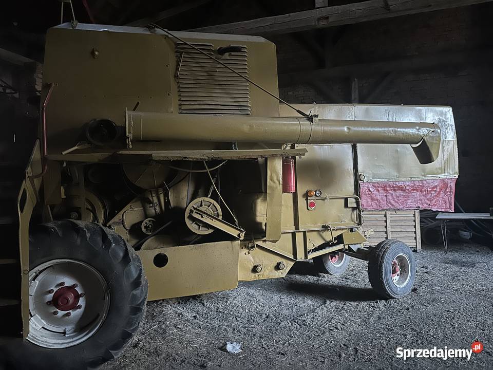 Ładny Bizon Z 40 Szklarnia