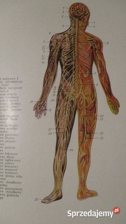 Oksfordzki podręcznik medycyny klinicznej medycyna, nauki medyczne Łódź