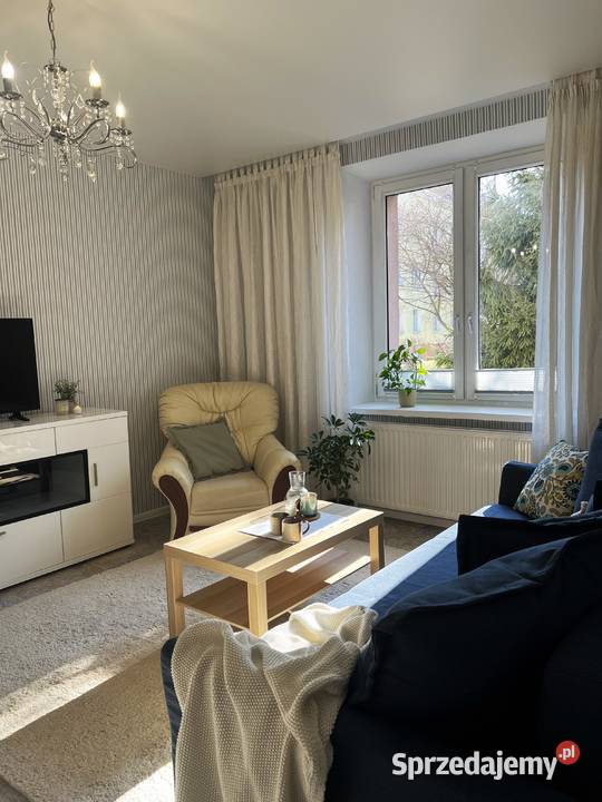 DO WYNAJĘCIA MIESZKANIE 33M2 PARTER W CWNTRUM Liczba pokoi 1 Wynajem Płock