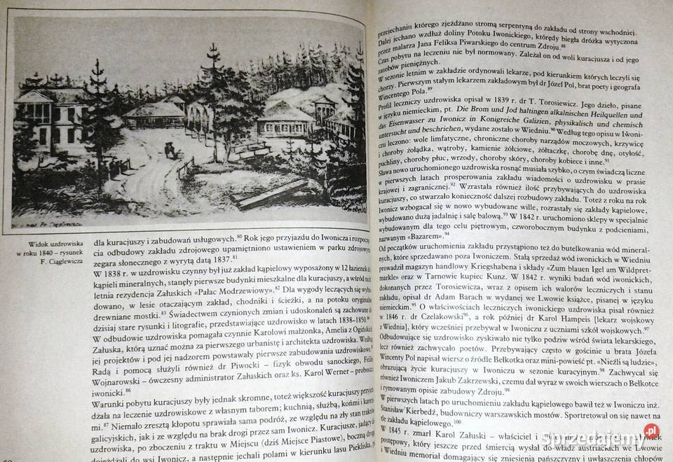 Iwonicz Zdrój Monografia E Sokołowksa J Cwanek i Chełm