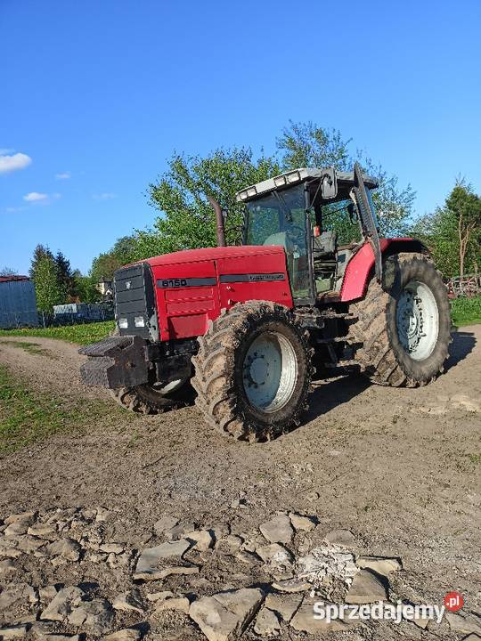 Massey Ferguson 8160 Skrzynia biegów Manualna podkarpackie Sanok