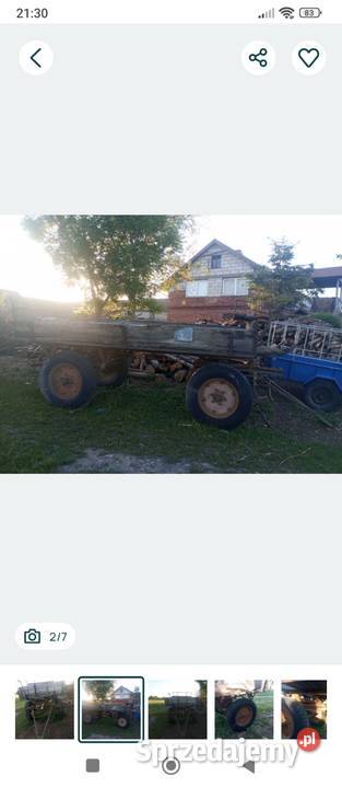 Przyczepa konna nieuszkodzony Golub-Dobrzyń