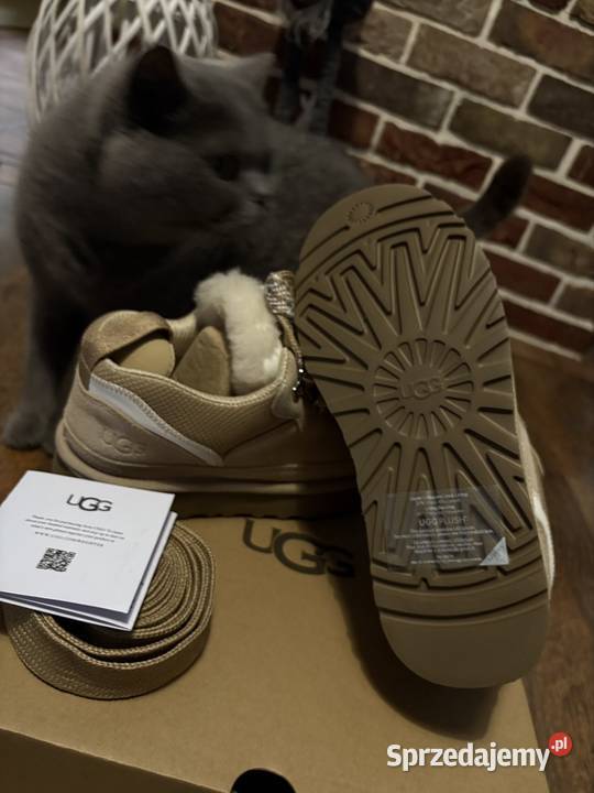 Buty UGG Lowmel Ugg Konin sprzedam