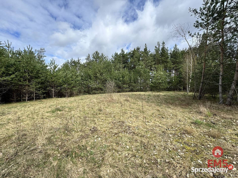 Działkę sprzedam Karakule 962m2 kanalizacja sprzedam