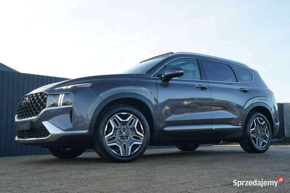 Hyundai Santa Fe FUL LED panorama skóra kamery tempomat opolskie Otmuchów