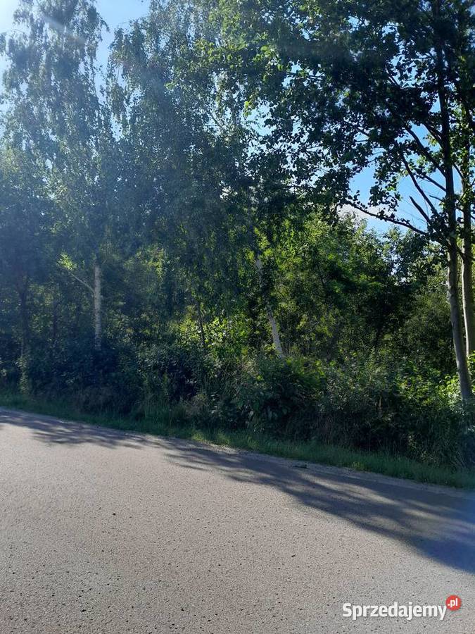 Bieganów Poziomkowa