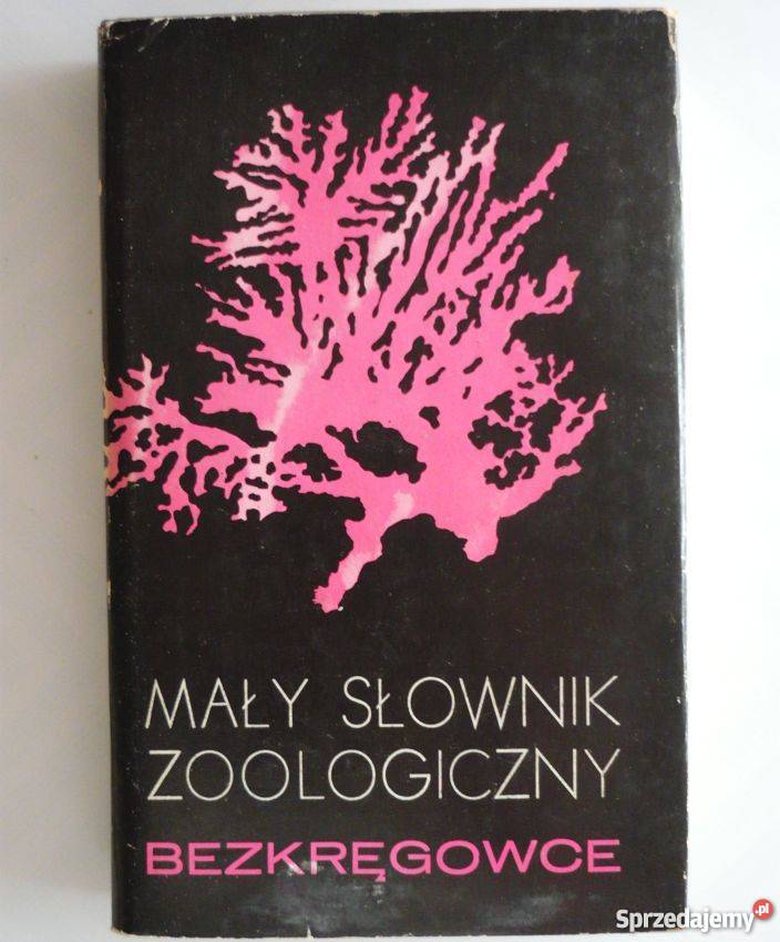 BEZKRĘGOWCE MAŁY SŁOWNIK ZOOLOGICZNY Koszalin