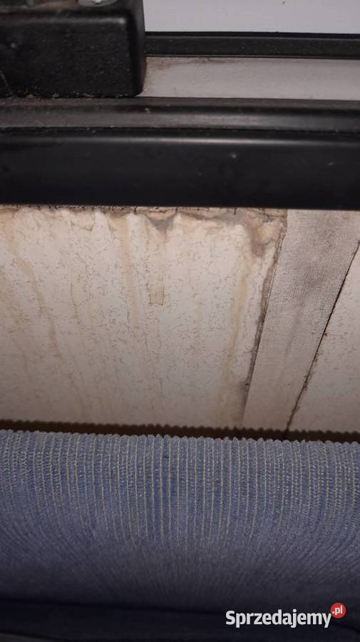 Hobby deluxe easy 440 SF Sieradz