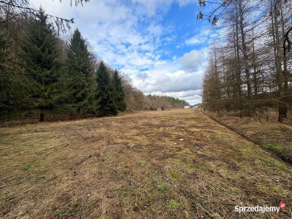 Grunt Tyrawa Solna 2405 metrów polna