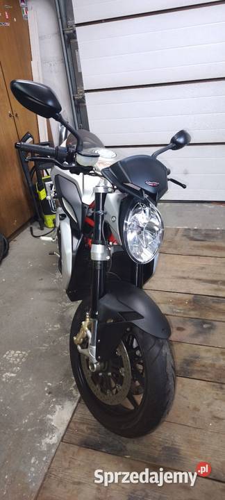 MV AGUSTA 800 BRUTALE Jastków