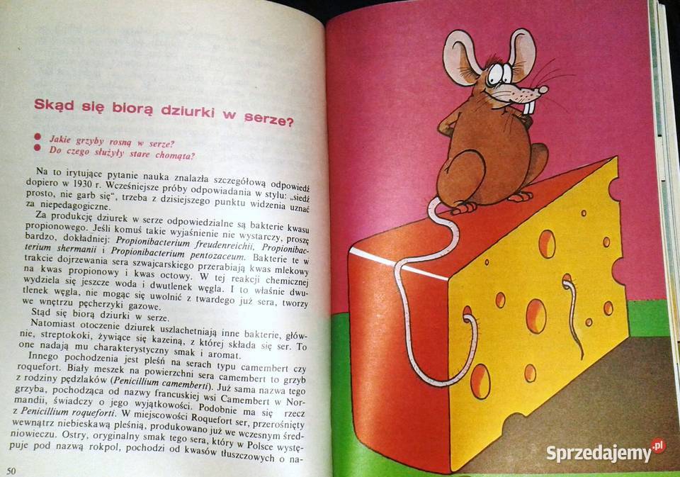 Dlaczego sól jest słona czyli odpowiedzi na