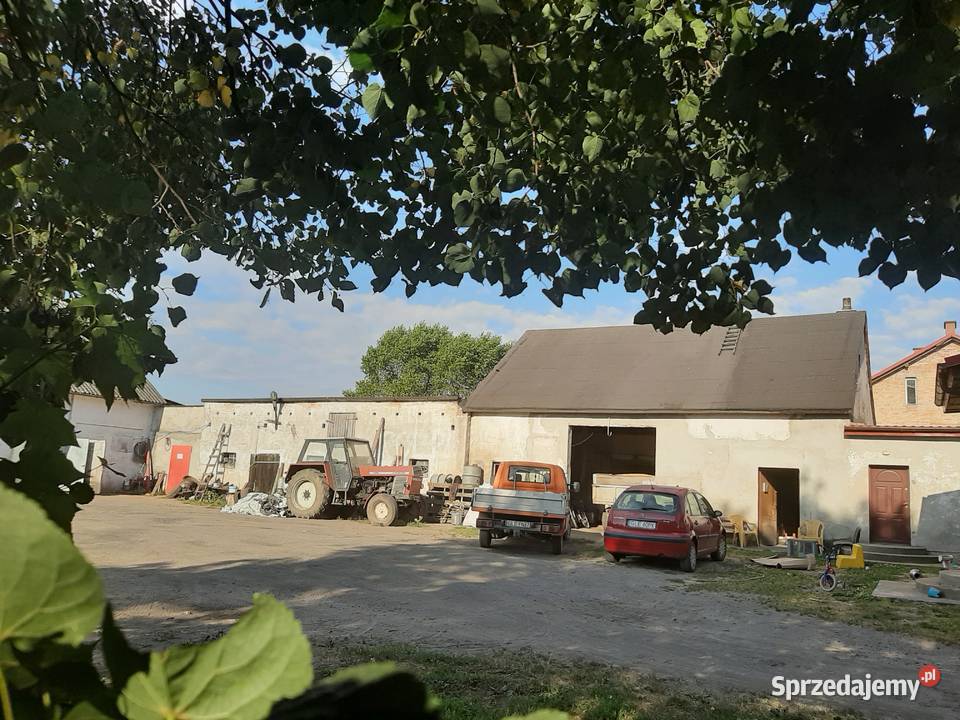 Sprzedam dom z działką 1ha Krępa Kaszubska